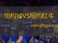紐約城VS紐約紅牛