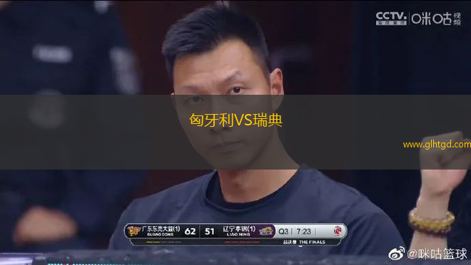 匈牙利VS瑞典