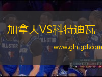 加拿大VS科特迪瓦