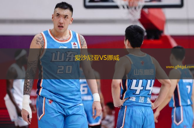 愛沙尼亞VS挪威